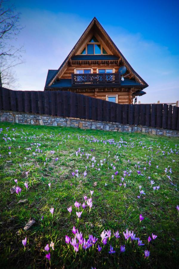 Chalet Kwiat Sniegu Deluxe Kolo Gubalowki Nowe Bystre